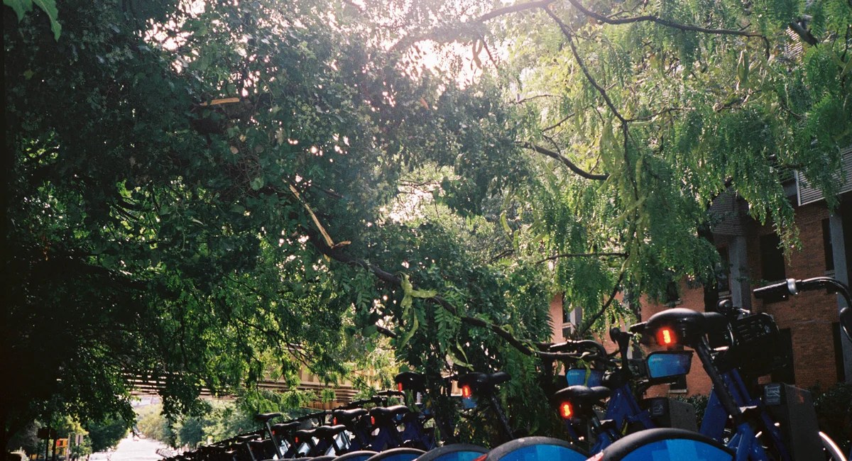 NYC's Green Explosion: Why Plants Are Taking Over the City This Summer (2026)